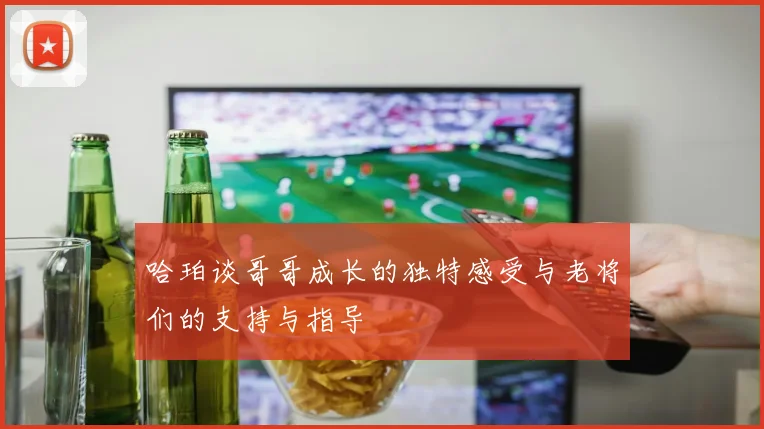 哈珀谈哥哥成长的独特感受与老将们的支持与指导