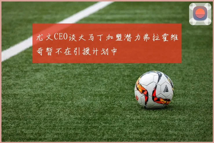 尤文CEO谈大马丁加盟潜力弗拉霍维奇暂不在引援计划中