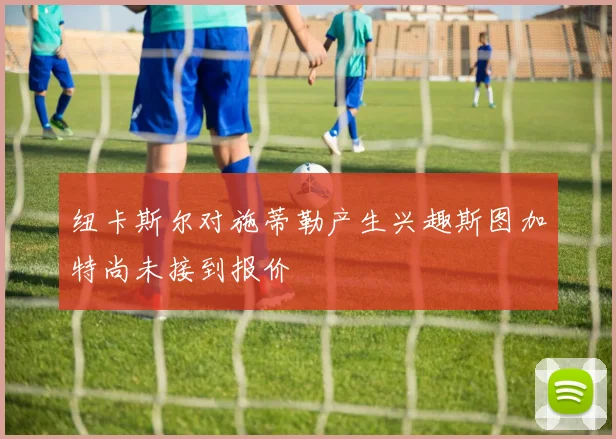 纽卡斯尔对施蒂勒产生兴趣斯图加特尚未接到报价