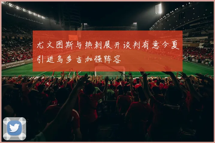 尤文图斯与热刺展开谈判有意今夏引进乌多吉加强阵容
