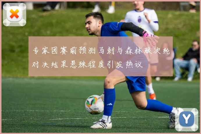 专家团赛前预测马刺与森林狼次轮对决结果悬殊程度引发热议